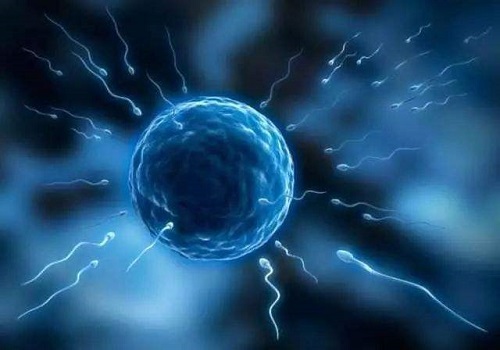 2022三代試管嬰兒技術多少錢