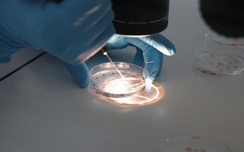 2022三代試管嬰兒技術多少錢