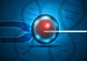 三代試管費用總共多少