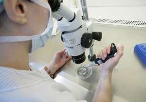 試管嬰兒費(fèi)用是多少錢