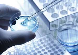 試管嬰兒費用大概多少錢