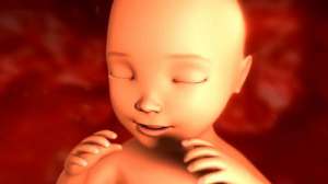 泰國試管嬰兒可以選嗎