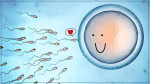 為什么泰國(guó)的試管嬰兒技術(shù)領(lǐng)先中國(guó)