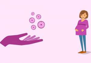 美國試管嬰兒的報價多少