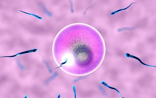 泰國試管嬰兒醫院選擇標準