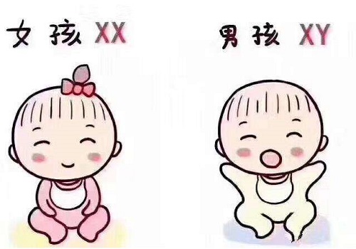 試管嬰兒花費主要花在哪里