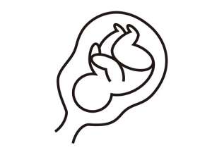 3代試管嬰兒的大概費用多少